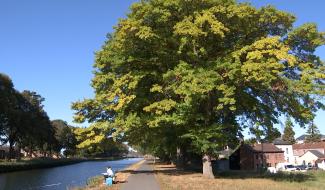Centre: une belle journée sous le soleil