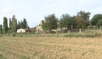 Horrues: elevages porcins confines