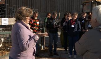 Hennuyères : Accueil social à la ferme