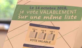 Wallonie: l organisation des élections communales et provinciales