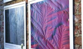 Mons : la Beauté fantastique au coeur des aliments Bio