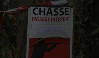 Buvrinnes ; prudence sur le Ravel qui reste ouvert pendant les chasses