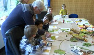 Environnement: decouverte nature à Soignies
