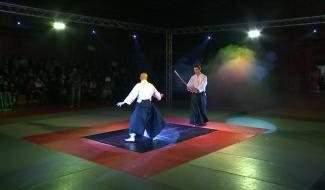 Art martiaux: Festival des arts martiaux de Houdeng