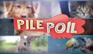 Pile-Poil du 05 janvier 2019