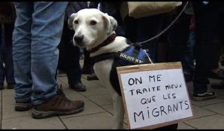 Le Collectif "La Marche des Migrants" en route pour Bruxelles