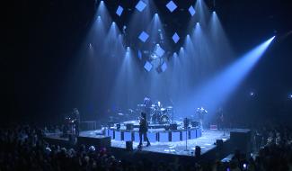 Forest :Mister Cover embrase Forest National