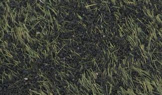 Besonrieux : le Maroc .. à l'école !