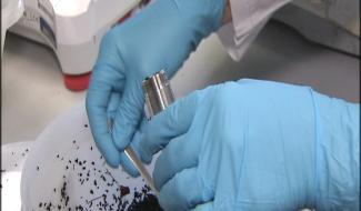 Mons : un laboratoire analyse les terrains synthétiques