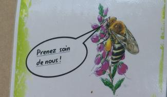 Ronquières : des gîtes pour les insectes