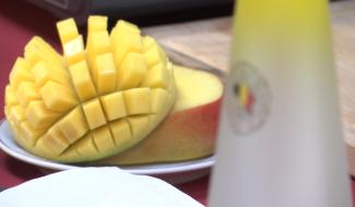 Un concours européen à La Louvière !