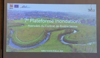 Tubize : réguler la Senne et sa biodiversité