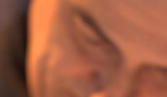 LONG FORMAT : Dominique A, rencontre avec un songwriter