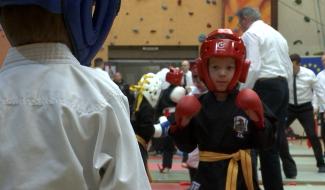 Tai-Jiu-Ken : Présentation de la discipline