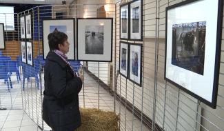 Haulchin: exposition photos sur les femmes agricultrices 