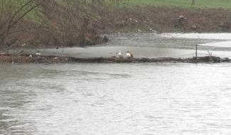 Braine-le-Comte : journées wallonnes de l'eau
