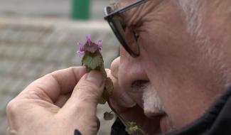 Soignies: balade au bord de l'eau à la Cafenière