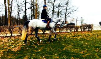 Equitation : Virginie Caulier rêve encore de JO
