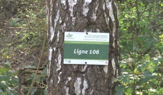 Ecaussinnes : un ravel accessible à tous... en fonction du revêtement