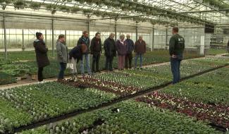 Péronnes-lez-Binche : Dans les coulisses d une Horticulture