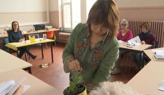 La bibliohtèque provinciale invite aussi à réapprendre les plantes