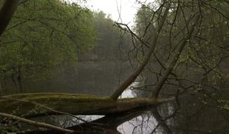 Hennuyères : un bois pour tous cherche coopérateurs
