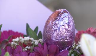 Braine-le-Comte : le temps des fleurs