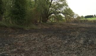 Strépy : Incendie aux Étangs