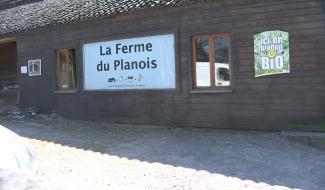{Hennuyères} Stage pour les enfants à la ferme du Planois
