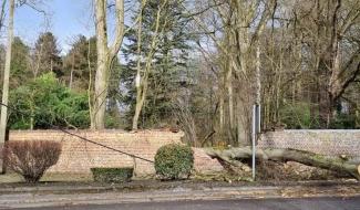 La tempête Eunice a causé des dégâts dans notre région 