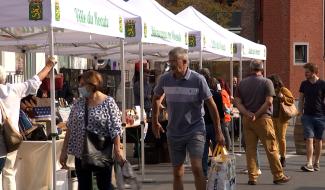 Le Roeulx : comptoir d'automne