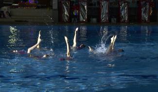 Natation artistique: annonce de l'Open Belgian Wolf Cup