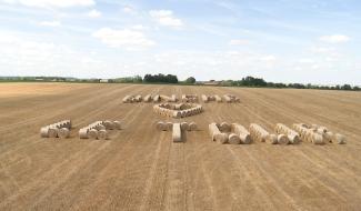 Tour de France: fresque agricole à Binche