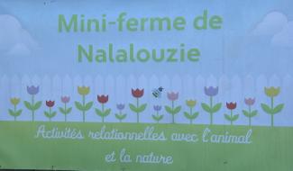 Coronavirus: l'ASBL Natalouzie en difficultés