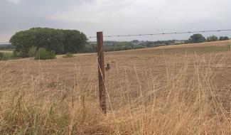 Braine-le-Comte : dédommagement des agriculteurs