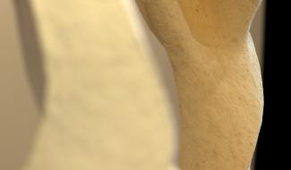 Exposition : le mouvement obsessionnel de Tarallo