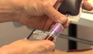 Santé : journée internationale du donneur de sang