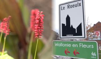 Le Roeulx : un label "3 Fleurs" pour une commune plus verte
