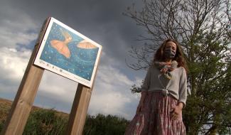 Gottignies : des mots en balade