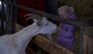 Peissant : journée du commerce local à la ferme