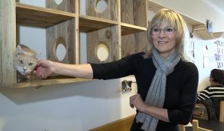 Les "chats 'rtisants" sont au bar à chats