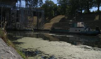 La Louvière: On enlève les algues du Canal Historique du Centre