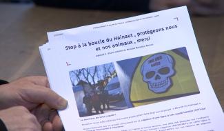 Morlanwelz: l'Asbl "Au Bonheur de Vica" sauve les perruches, colombes et pigeons.