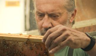 Leval : apiculture, le miel et les abeilles