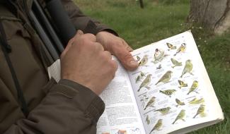 Ecaussinnes : un atelier ornithologique 