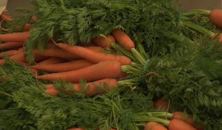 Estinnes : des produits locaux pour l'aide sociale 