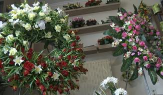 Le futur crématorium de La Louvière à Houdeng ?