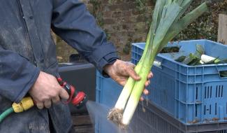 Ecaussines : Covid 19, des légumes du terroir