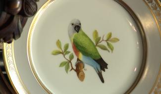 Louvignies :  la porcelaine témoigne de l’Histoire au château