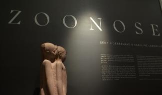 La Louvière : au coeur de la pandémie auprès des soignants